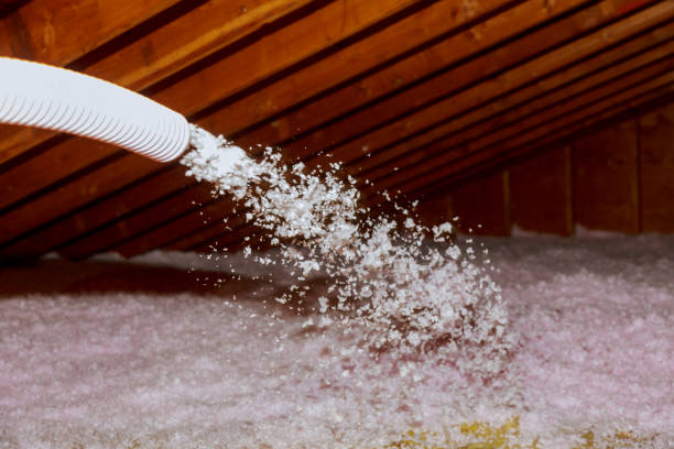 Types of Insulation We Offer in Princeton, NC