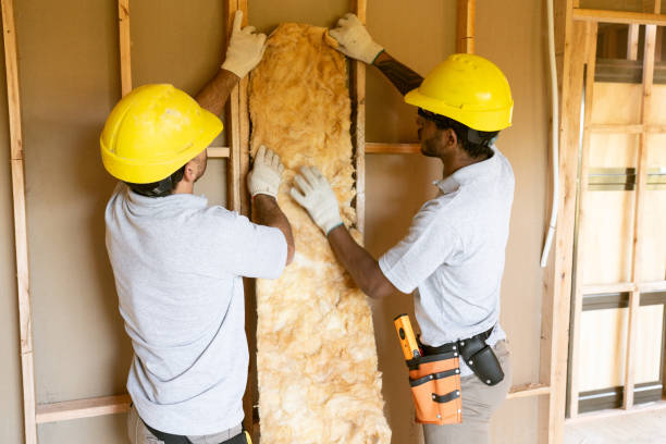 Best Eco-Friendly or Green Insulation Solutions  in Prieton, NC